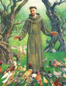 StFrancis