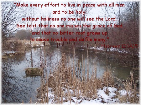 hebrews12-15