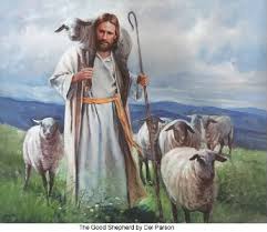 MyShepherd