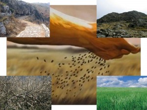 parble_soils