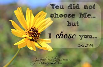 I_chose_you_med