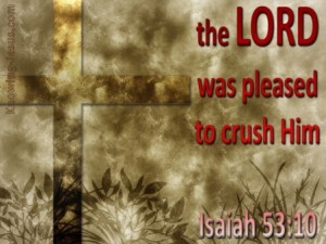 isaiah-53-10-he-was-crushed